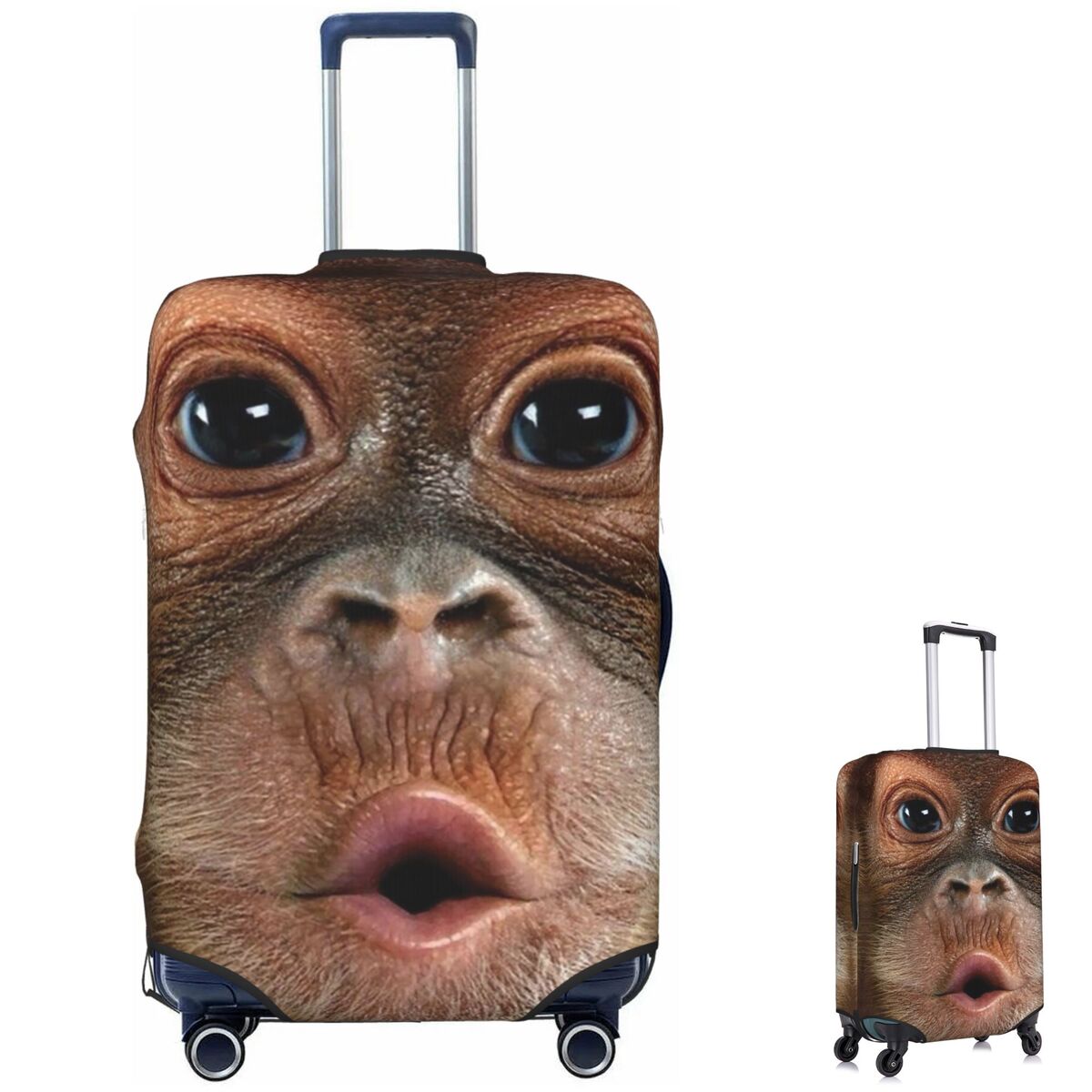 Чехол для чемодана с изображен – обзор и цена Luggage Cover Protector